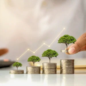 Wealth Management